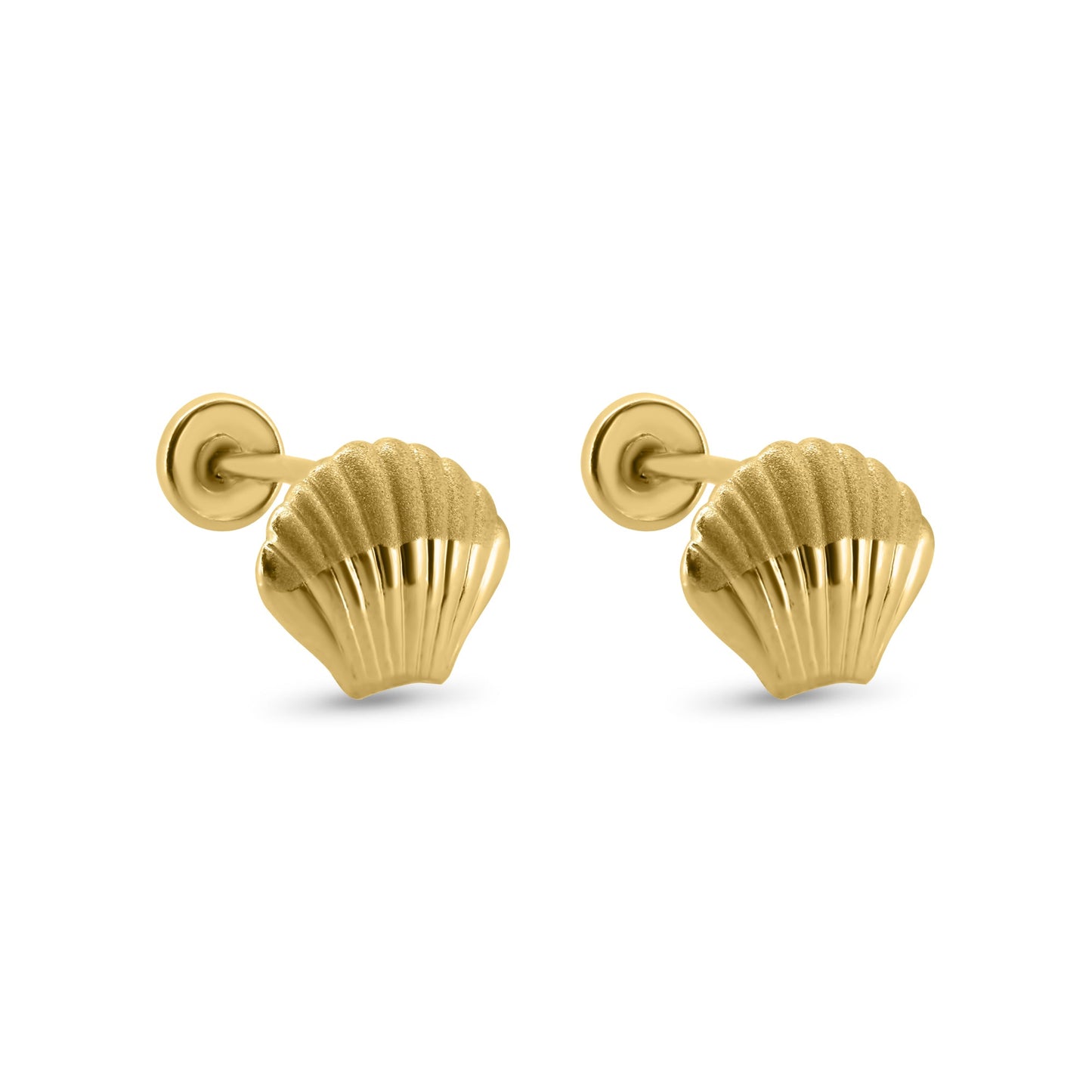 14K yellow gold seashell screw back stud earrings