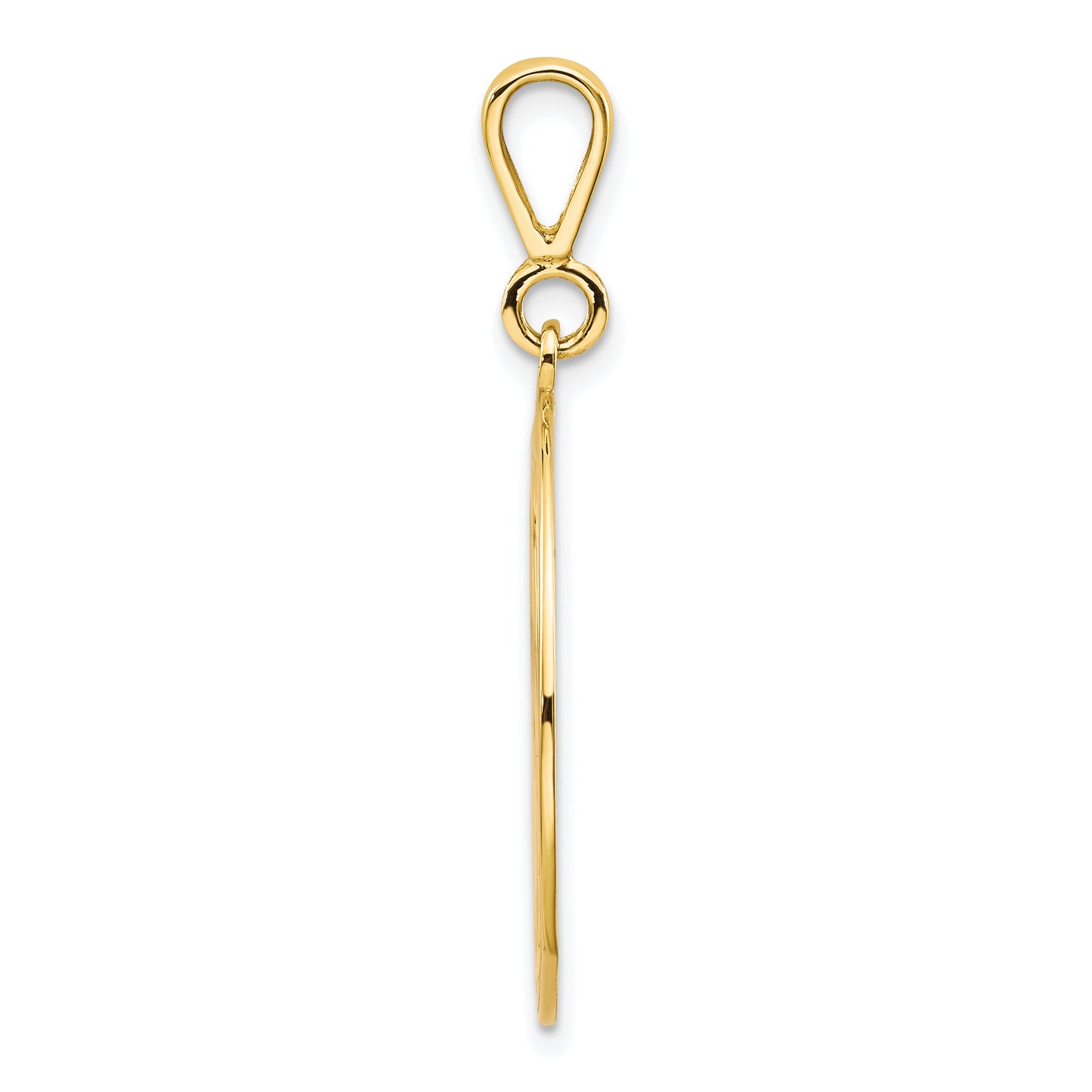 10K Yellow Gold Large Masonic Symbol in Circle Pendant 10C750 - alternate view