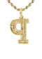 10k Yellow Gold Diamond Pendant Letter "P"