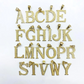 10k Gold Initials Letter Alphabet Diamond Cut Charm Pendant Necklace for Men/Women (Medium)
